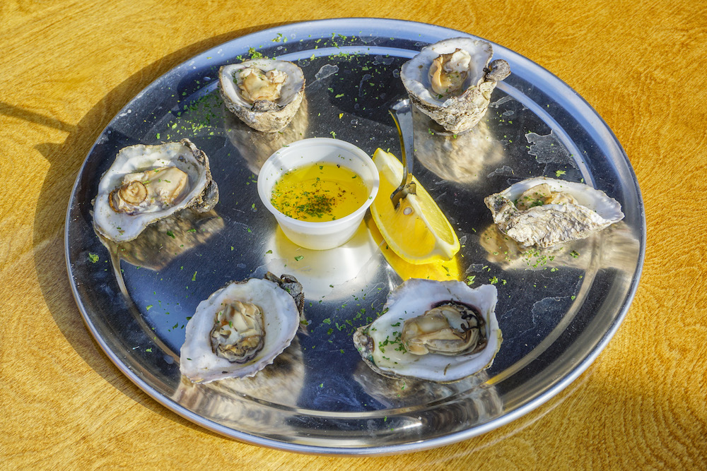Row oysters on the half shell